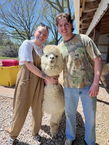 Alpaca Farm Tour Adventure