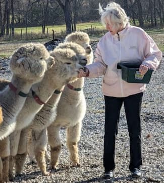 Our Alpaca Family