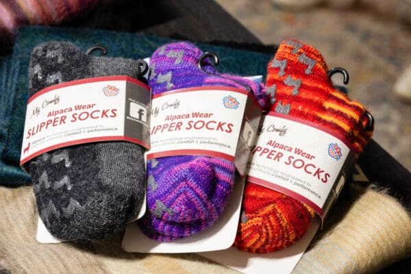 Three pairs of socks are shown with different colors.